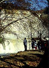 Falls at Anderson Dam, 2/15/'98