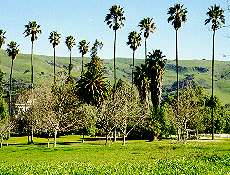 Coyote Ranch